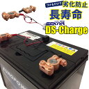 白×2【乗用車は白、業務用は黒】【2個セット】SEKIYA バッテリー 自動再生 超小型パルス DS Charger バッテリー交換不要 バッテリーにつけるだけで 寿命が2倍3倍！ DSチャージャー 宮崎県ものづくり大賞受賞