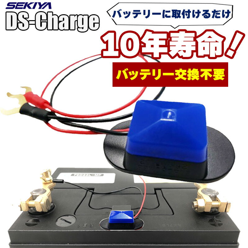 ѥ륹Хåƥ꡼ץХåƥ꡼ʬ10ǯ̿