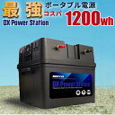 限定特価 最強コスパ ポータブル電源 1200wh SEKIYA 節電・停電対策 大容量 家庭用 アウトドア 電気代削減 MPPT制御 AC/DC/USB出力 AC500w 正弦波 車中泊 キャンプ 防災 非常用電源 リチウムイオン 小学生でも簡単な配線で電気を作る 【ソーラー別売】