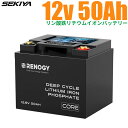 リン酸鉄リチウム電池 12V 50AH Core 3500回寿命 安全 BMS保護 軽量 コンパクト サポート無料 SEKIYA