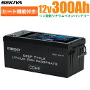 ヒート機能付 リン酸鉄リチウム電池 12V 300AH Core LT 3600Wh 低温時安定 5000回寿命 サポート無料 SEKIYA