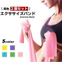 【楽天ランキング入賞】 エクササイズバンド ゴム トレーニングチューブ 【2本セット×全5色】ヨガバンド 男女兼用 筋トレ フィットネス ストレッチ