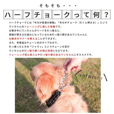 ハーフチョーク + リードセット 小型犬 首輪【全4色】Sサイズ 丈夫な編み紐・チェーンタイプ