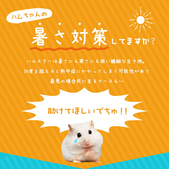 �ڳ�ŷ��󥭥����ޡ� �ϥॹ���� �Ҥ��� �ϥ��� ����3���� �Ҥ���ץ졼�� �� �������롼�ɡ��� ʬ���ǽ �̵��� �䴶 ���� ������OK