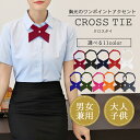【楽天ランキング入賞】 クロスタイ 【全11色】 レディース メンズ キッズ 大人 フォーマル カジュアル プレゼント ギフト
