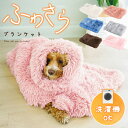 ペット ブランケット 毛布 【全6色】 犬 猫 小動物 ふわさら 保湿 洗濯機可 60cm × 84cm