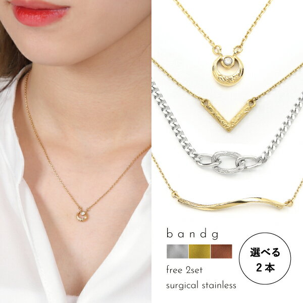 選べる2本 ネックレス ペンダント つけっぱなし ステンレス サージカルステンレス 医療用ステンレス 金属アレルギー アレルギーフリー 316L ハワイアンジュ...