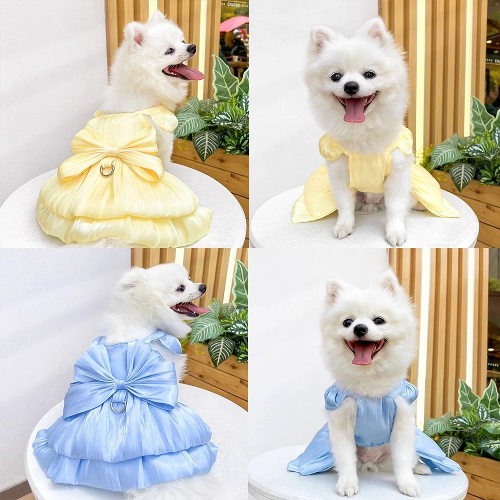 ��57%OFF��5%OFF�����ݥ����Ѥ�1,777�ߡ�2/4 12:00���ۥڥå��� ���� �㿧 ���ԡ��� ǭ �������� �������� ���ˤ� ���塼�� µ�ʤ� ���� ���� �ɥå� ���襤�� ������� �������塼�� �Ի� ���٥�� ���� ��Ω�� �����ξ� �뺧�� ������ ��ǰ���� ������