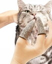 【最大P21倍~157時間限定】歯ブラシ ペット用 2個セット 猫用 犬用 歯磨き ペット用品 指歯磨き 口ケア フィンガー歯ブラシ 清潔 指サ デンタルケア ...