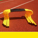【限定価格→6,346円 7/29まで】トレーニング ミニハードル 23cm 30cm 40cm 5本セット トレーニング用品 フィジカル 体力 ランニング ト...