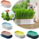 容器 3個セット 猫草栽培鉢皿 鉢台 鉢植え台 植物シャーレ プラスチックキャットニップ猫草ボックス 自己散水植物スプラウタートレイ 鉢植え台 観葉植物 鉢植え 植木鉢 猫草プランター