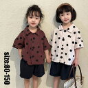 【新発売限定記念価格!】韓国子供服セット キッズ 女の子 男の子 純綿 夏服 シャツ+ショートパンツ ベビー ジュニア 子ども 上下セットアップ カジュアル 可愛い おしゃれ 涼しい 通園 通学 旅行 お出かけ 兄弟 姉妹 双子 2点セット ドット柄 半袖