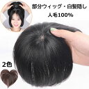 部分ウィッグ 人毛100% 白髪隠しウィッグ 15cm 20cm 部分かつら 薄毛 抜毛症 分け目 増毛 女性用 ヘアピース トップカバー プレゼント 簡単 ポイントウィッグ 大人 茶色 普段使い 医療用ウィッグ 前髪ウィッグ 25cm 自然 頭頂部 ミニウィッグ