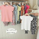 【新発売限定記念価格!】韓国子供服 女の子 セットアップ レジャー 夏服 ピンク バラ ブルー パープル キッズ 上下セット 飛袖Tシャツ+パンツ 通園着 通学...