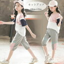 【新発売限定記念価格!】韓国子供服 女の子 セットアップ レジャー 夏服 ジャージ Tシャツ+パンツ 2点セット ガールズ 学生 半袖Tシャツ 五分丈パンツ 夏...