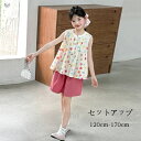 【新発売限定記念価格!】韓国子供服 女の子 セットアップ 夏服 キッズ ショートパンツ 2点セット 女の子 シャツ ショーツ キッズ服 子ども服 ガールズ 記念...
