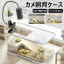 【新発売限定記念価格!】亀の飼育ケース 亀 水槽 大きい カメ用水槽 水交換超簡単 餌やりが便利 透明 軽量 両生飼育箱 亀ケージ 脱出防止 亀の楽園 亀 リク...