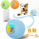 犬 ボール 自動 自動で動く 電動 おもちゃ 動き 玩具 光る ウィキッド ボール 回転 人気 ペット