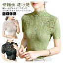 【新発売限定記念価格!】シアートップス ハイネック Tシャツ レディース 半袖 総レース 重ね着 花柄レース トップス 無地 伸縮性 カジュアル 薄手 透け感 ...