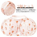 【新発売限定記念価格!】洗濯ネット ブラジャー専用 3個セット 洗濯機 型崩れ対策 型崩れ防止 乾燥機対応 ハンドル付き 下着 手洗い不要 通気性 水切り 家庭用 送料無料 ブラジャーネット メッシュ生地 枠付き ドラム式
