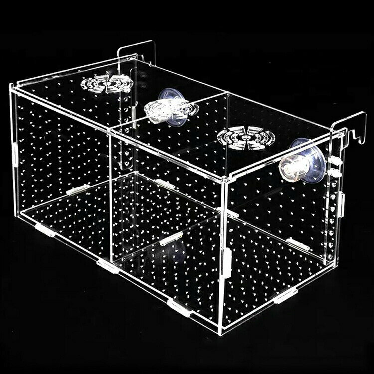 【2280円→実質2052円 8%COUPON+P2倍!11/27 01:59まで】繁殖隔離ボックス 隔離箱 水槽用 孵化 産卵箱 魚の隔離 透明 アクリル 吸盤 省スペース 取り付け簡単 保護 透明 高透過率 安定 飼育保護 水族館アクセサリー