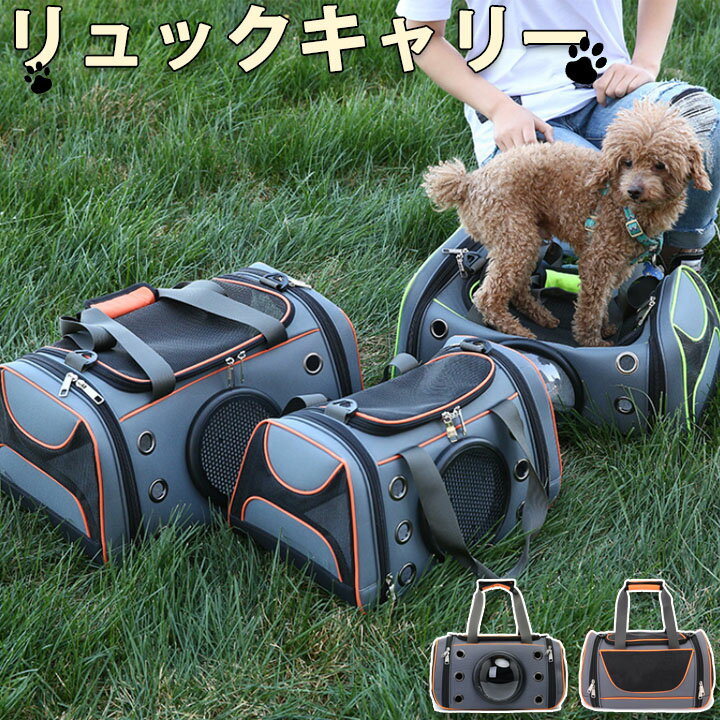 【最安挑戦！】