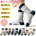 「5足組み」靴下 キッズ 男の子 20cm 靴下 キッズ ジュニア 5足セット 男の子 子供用 子供 ソックス くつした 男子 ショートソックス ベビー靴下 キ...