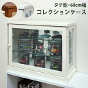 【今すぐ使える割引クーポン発行中】コレクションケース ショー...