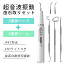 【クーポンで3,000円→2,700円!】歯石取り 家庭用歯石取りセット 口腔洗浄器 超音波 スケーラー 歯石 除去 超音波 歯周病 予防 歯 歯茎 歯周 口臭 歯間 自宅 口腔洗浄 デンタルケア USB充電 防水 耐水 LEDライト付