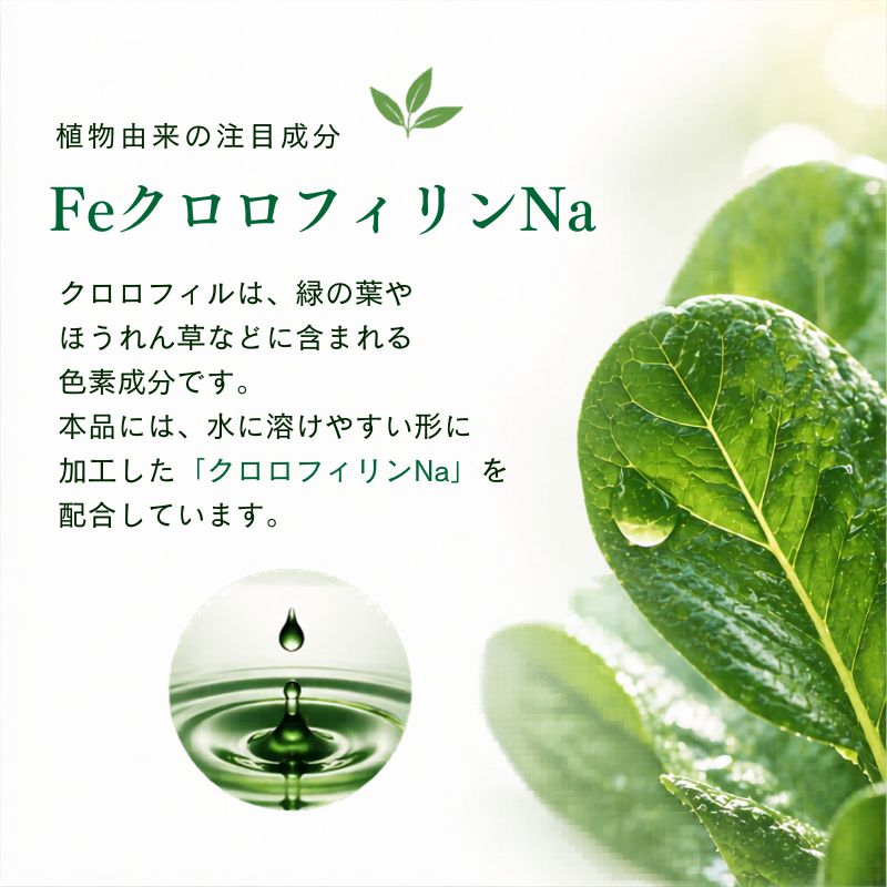 【選べるセット数】Feクロロフィル 30カプセル エチケットサプリ 身だしなみサポート 食物繊維 イヌリン配合 カプセルタイプ 健康補助食品 外出前 食事後 毎日の習慣に select-list-10002505 美とくらし サンプル画像3