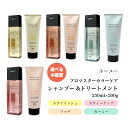 【特典あり・選べる4種】ホーユー カラーケア シャンプー&トリートメント 250ml/200g/色持ち/補修/ツヤ髪/美髪ケアセット スタイリッシュ リッチ カーミー スウィーティア ヘアケア hoyu 送料無料(4)