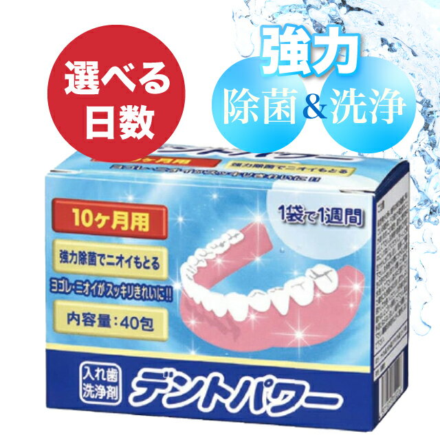 【特典あり・選べる日数＆ケース付】デントパワー 入れ歯洗浄剤 5〜10ヶ月分 強力除菌・洗浄 義歯ケア 無香料タイプ 専用ケース 義歯 入れ歯 入れ歯洗浄 洗浄 清潔