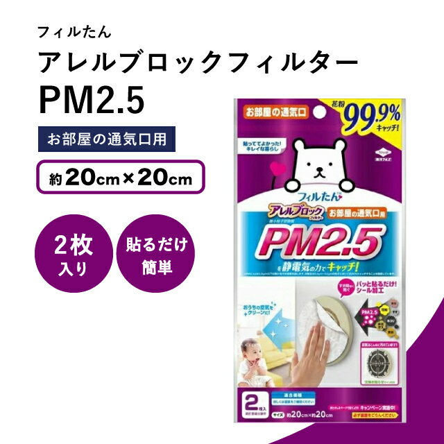 【まとめ買いでお得】フィルたん アレルブロックフィルター PM2.5 2枚入り お部屋の通気口用 20cm ×20cm アレルブロック フィルター...