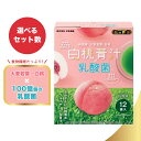 【特典・選べるセット数】 金の青汁 白桃青汁 & 乳酸菌 12袋入 日本薬健 食物繊維 青汁 白桃 粉末飲料 乳酸菌 フルーティー 送料無料