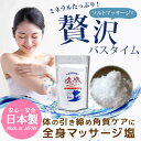 塩の精 500g