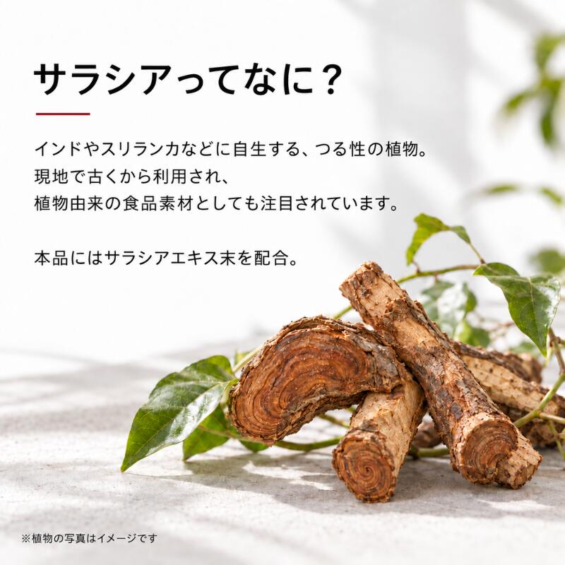 【最大4040円割引】濃縮サラシアエキス粒 60粒 隆盛堂 サラシア コントロール 高品質配合 食生活 カプセル 送料無料 健康習慣 健康補助食品 サプリメント 飲みやすい まとめ買い お得 select-list-10002367 美とくらし サンプル画像3