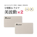 【2個セット】美波動 分電盤 電磁波対策 健康グッズ テラヘルツ波 静電気対策 正規品 送料無料 (旧名称 分電盤&クルマ) びはどう アクセサリー 健康器具 ...