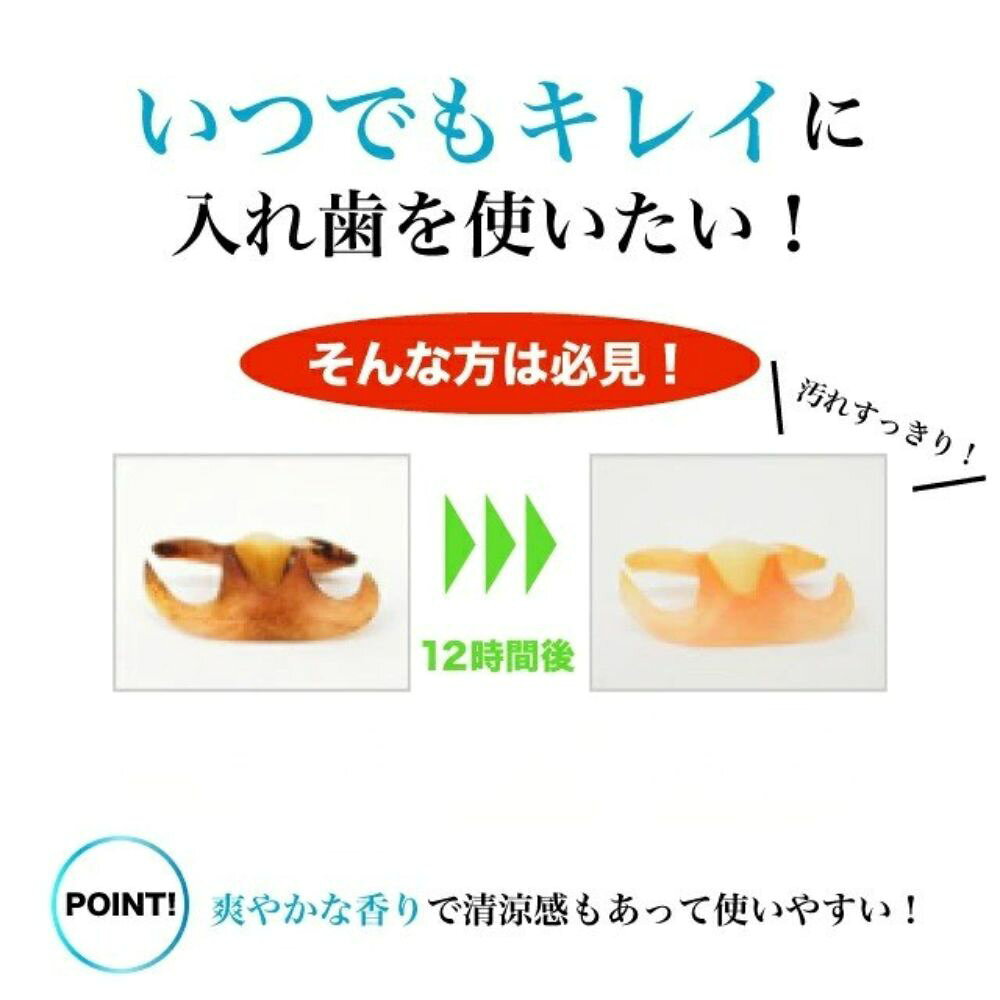 【選べる日数＆専用ケース付】デントパワー 入れ歯洗浄剤 5-10ヶ月分 強力・洗浄 義歯ケア 無香料タイプ 専用ケース 義歯 入れ歯 入れ歯洗浄 洗浄 清潔 (2)