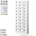 【ダイヤル錠】小物入れロッカー30人用ロッカー【送料無料】ロッカー 30人用ホワイト色/スチールロッカー【メーカー品】【国産品】ロッカー/オフィスロッカー貴重品...