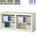 G-635SG 【D515】引違書庫ワイドタイプ/ガラス戸書棚/鍵付【地域限定設置サービス中】【日本製】【送料無料】【メーカー品】【国産品】【完成品】オフィス家...