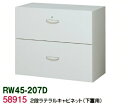 書庫/キャビネット/書棚【送料無料】RW45-207D【RW45シリーズ】2段ラテラルキャビネット【オフィス家具/収納家具/キャビネット/書棚】スチール書庫/事...