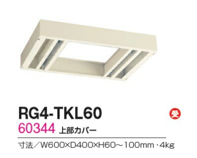 【送料無料】【RG4シリーズ】上部カバー/W600 上部カバー(H60〜100mm対応)【受注生産品】【オフィス家具/収納家具/キャビネット/書棚】スチール書庫//事務室用/SOHO