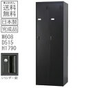 ロッカー 2人用【送料無料】【車上渡し商品】2人用ロッカースタンダードロッカー(シリンダー錠)日本製/マットブラック色/完成品オフィス/学校/病院/福祉施設ロッ...