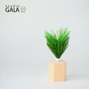 【在庫限りで終了です!】Studio-GALA ( スタジオガラ ) HALE 六角松枝飾り【 お正月飾り 玄関 おしゃれ 門松 水引 置き物 箱入り 日本製 小林良一 】