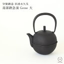 空間鋳造 岩清水久生 鉄急須 Gene 大 ( PureBlack )【 送料無料 南部鉄器 鋳物 伝統工芸 急須 500ml 茶漉し付き 内側ホーロー加工 保温 熱燗 黒 スクエア 菱形 日本製 】