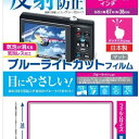 NAKABAYASHI Digio2 液晶保護フィルム ブルーライトカット 反射防止 タッチパネル対応 3.0Wインチ(67×38mm) DCA-30WFLGB...