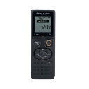 VN-551PC(ICレコーダー/会議録音/議事録/証拠録音/授業録音/語学学習/カラオケ/メモ録/取材/インタビュー)
