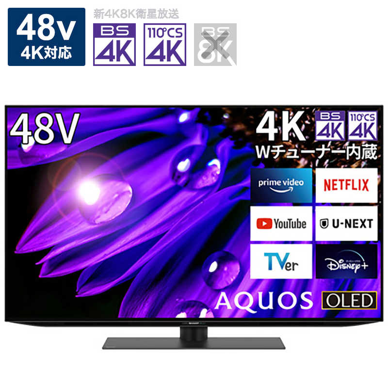 48型 曲面フルHD液晶テレビ AS-4803TV 2016年製 録画機能付 48型 曲面フルHD液晶テレビ AS-4803TV 2016年製 録画機能付 【公式通販】