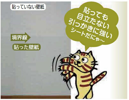 リンテックコマース ペット壁保護シート はがせる弱粘着タイプ 92 100cm 爪とぎ 猫 爪とぎ防止シート 爪とぎシート 爪研ぎ ダストレス ペット ペットグッズ 猫用品 猫 しつけ用品 その他 身の毛もよだつ壁 保護 シート はがせるの裏側