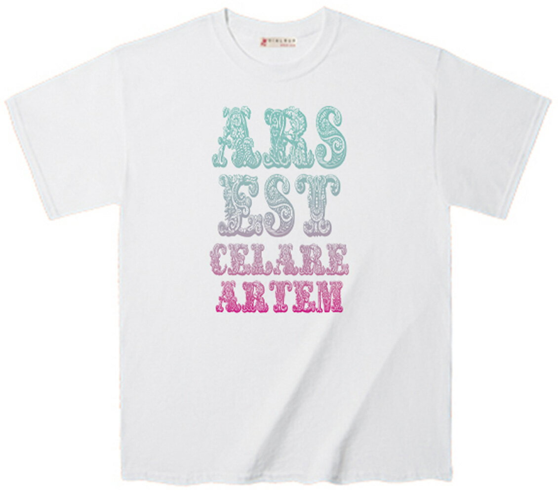 Tシャツ 意味深いメッセージ ヨーロピアン 文字体美しいTee